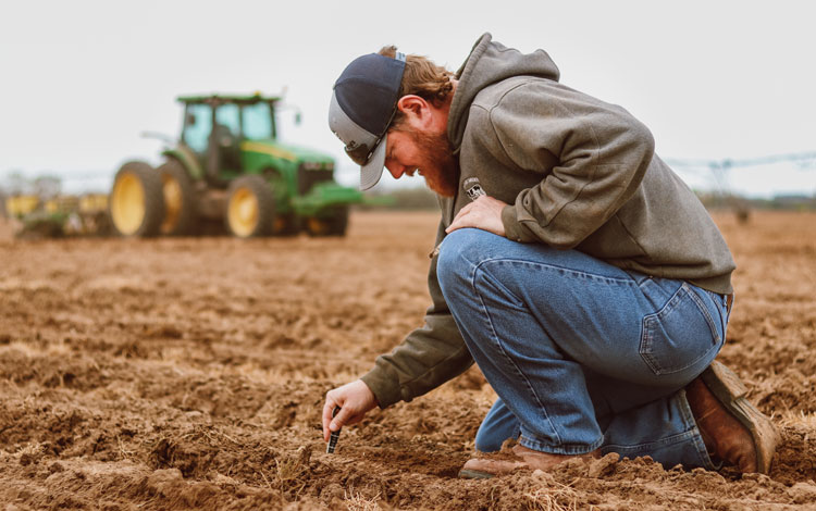 A man with facial hair wearing blue jeans, a gray hat, and a sweatshirt leaning down, looking at the ground, checking seed depth on their farm.